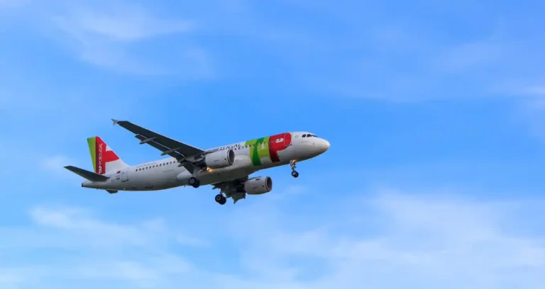 air tap portugal flights
